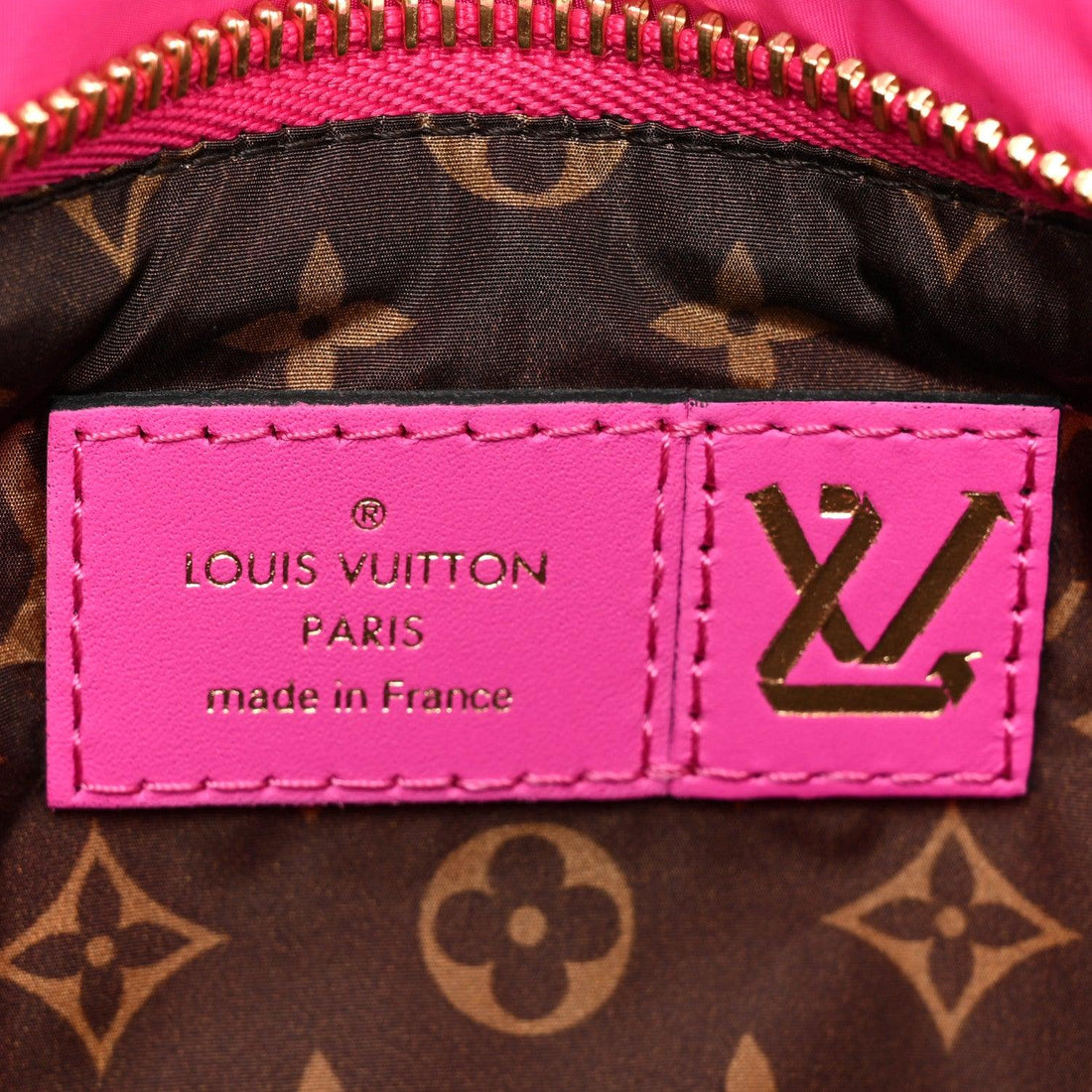 Louis Vuitton Econyl Monogram Pillow Maxi Multi Pochette Accessories