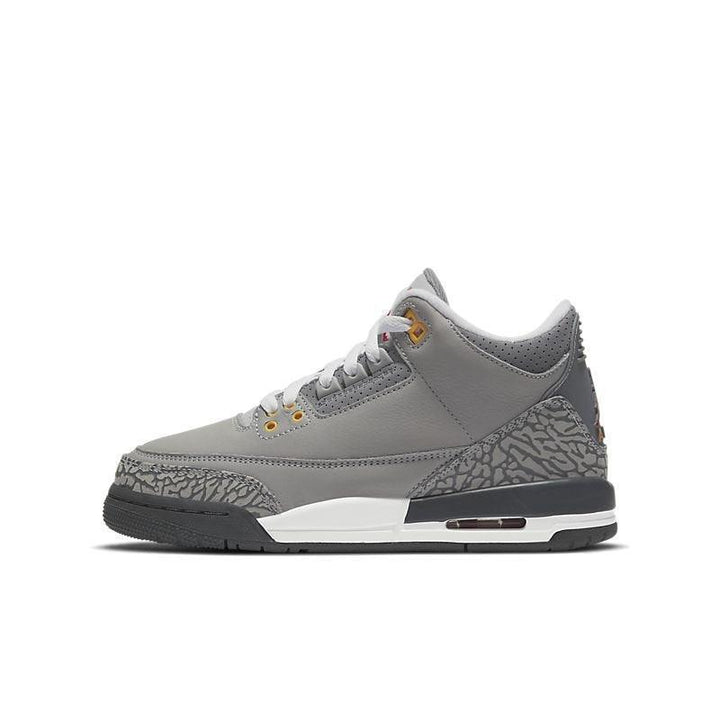 Air Jordan 3 Retro 'Cool Grey'