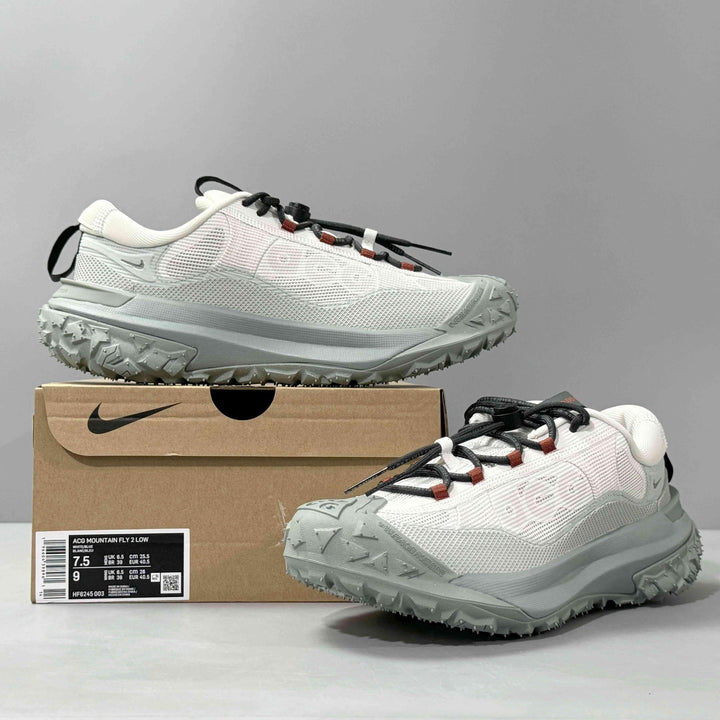 Nike ACG Mountain Fly 2 Low Gore-Tex 'Phantom Light Silver'